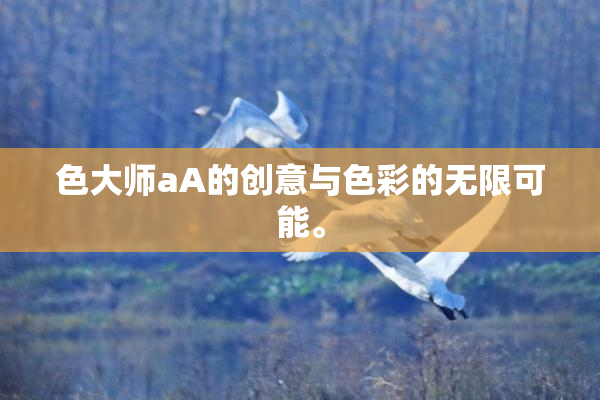 色大师aA的创意与色彩的无限可能。