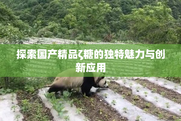 探索国产精品ζ糖的独特魅力与创新应用