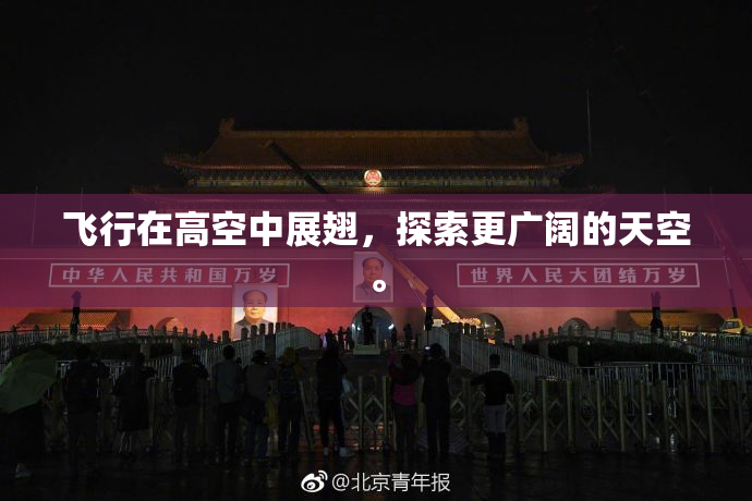 飞行在高空中展翅，探索更广阔的天空。