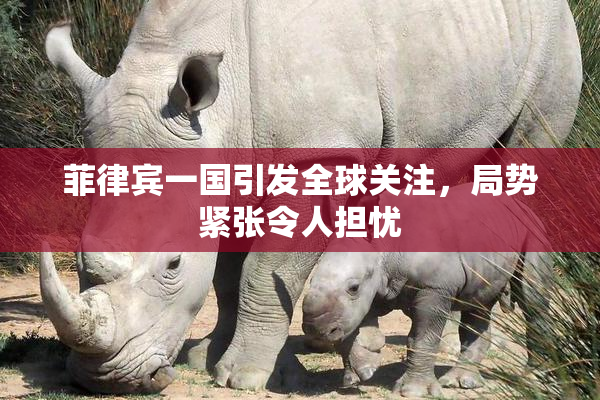 菲律宾一国引发全球关注，局势紧张令人担忧
