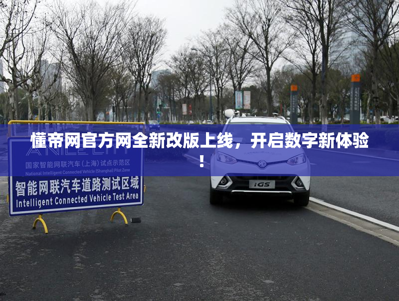 懂帝网官方网全新改版上线，开启数字新体验！