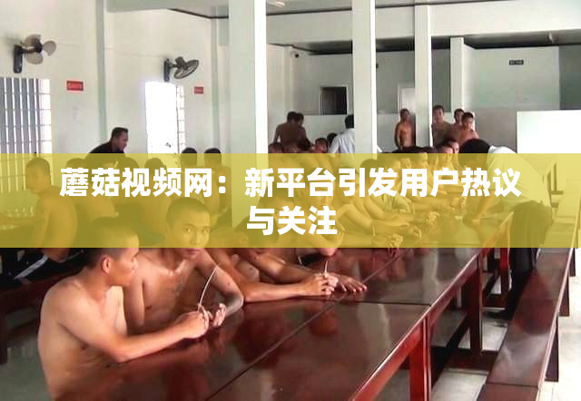 蘑菇视频网：新平台引发用户热议与关注
