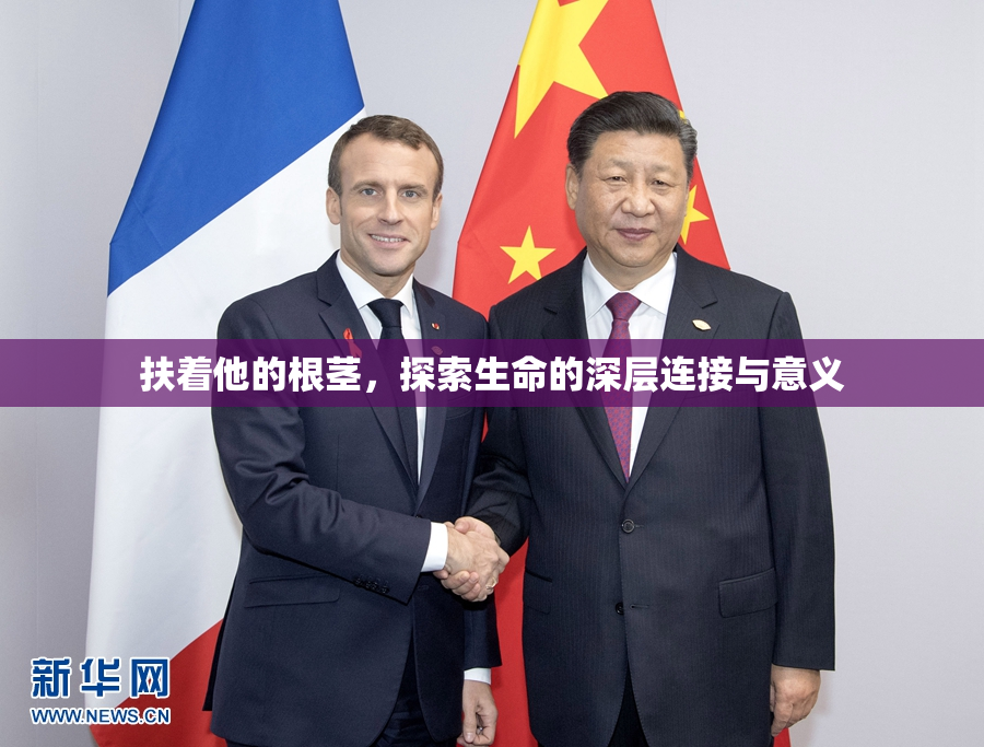 扶着他的根茎，探索生命的深层连接与意义