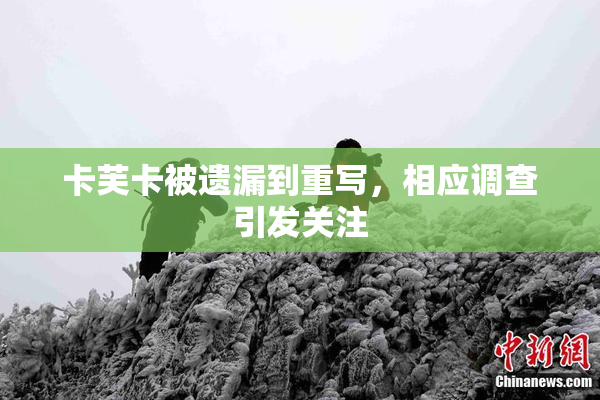 卡芙卡被遗漏到重写，相应调查引发关注