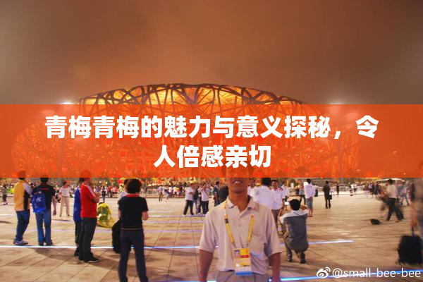 青梅青梅的魅力与意义探秘，令人倍感亲切