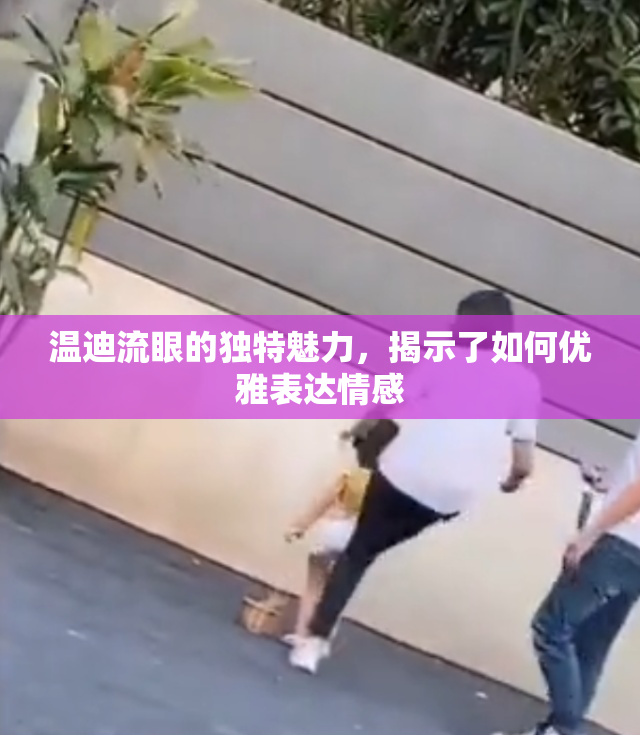 温迪流眼的独特魅力，揭示了如何优雅表达情感