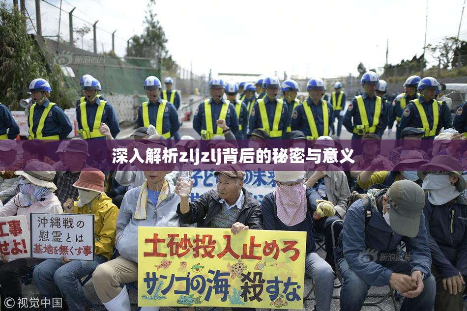 深入解析zljzlj背后的秘密与意义