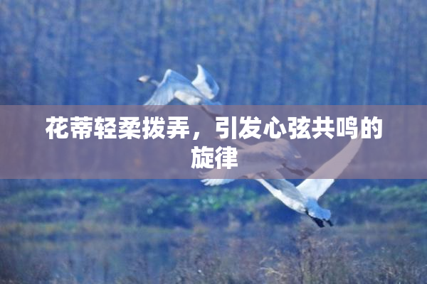 花蒂轻柔拨弄，引发心弦共鸣的旋律
