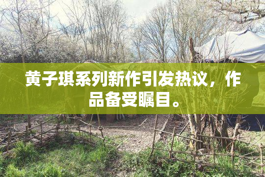 黄子琪系列新作引发热议，作品备受瞩目。