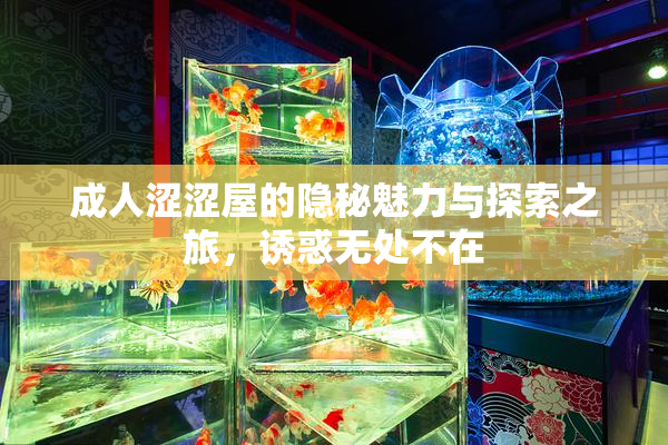 成人涩涩屋的隐秘魅力与探索之旅，诱惑无处不在