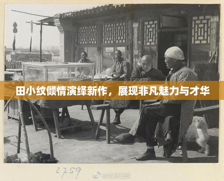 田小纹倾情演绎新作，展现非凡魅力与才华