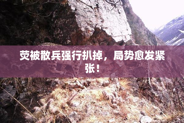 荧被散兵强行扒掉，局势愈发紧张！