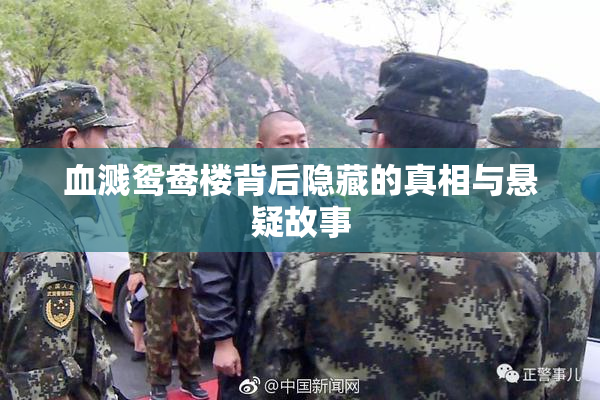 血溅鸳鸯楼背后隐藏的真相与悬疑故事