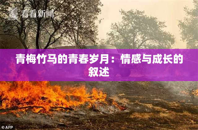 青梅竹马的青春岁月：情感与成长的叙述