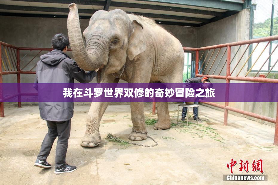 我在斗罗世界双修的奇妙冒险之旅