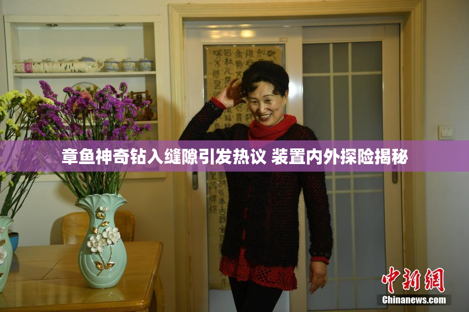 章鱼神奇钻入缝隙引发热议 装置内外探险揭秘
