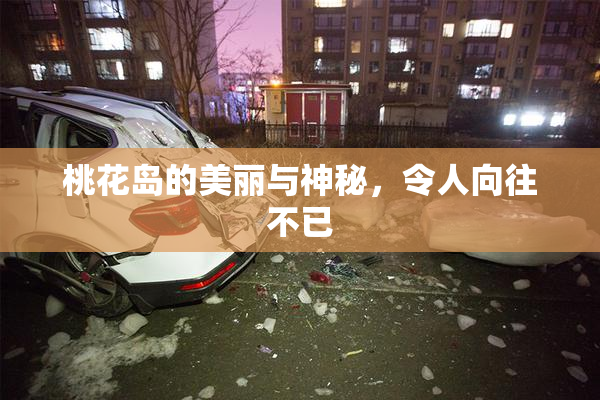 桃花岛的美丽与神秘，令人向往不已