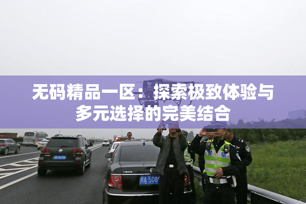 无码精品一区：探索极致体验与多元选择的完美结合