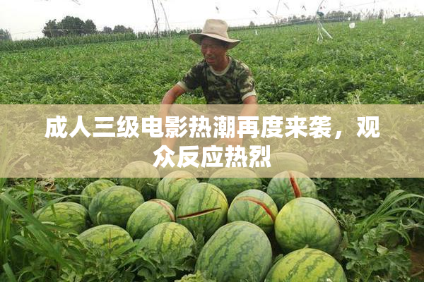 成人三级电影热潮再度来袭，观众反应热烈