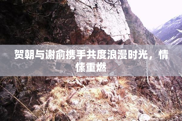 贺朝与谢俞携手共度浪漫时光，情愫重燃