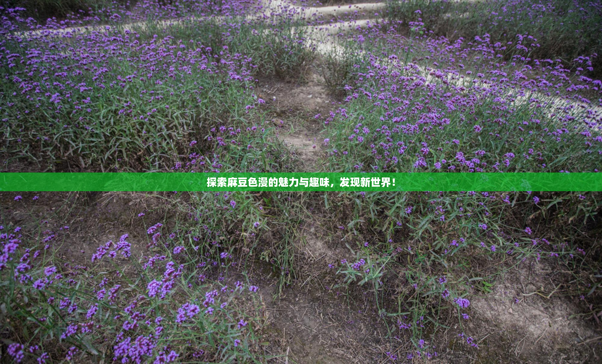 探索麻豆色漫的魅力与趣味，发现新世界！