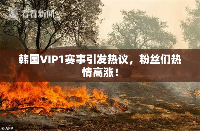 韩国VIP1赛事引发热议，粉丝们热情高涨！