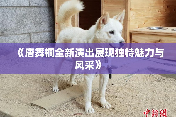 《唐舞桐全新演出展现独特魅力与风采》
