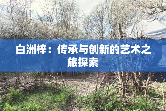 白洲梓：传承与创新的艺术之旅探索
