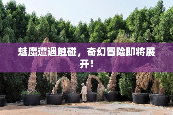 魅魔遭遇触碰，奇幻冒险即将展开！