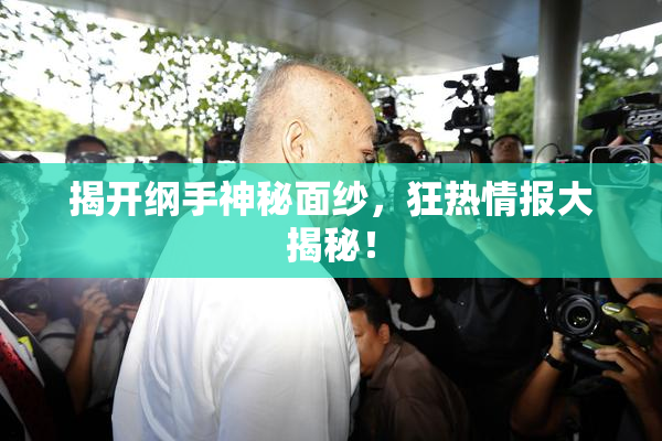 揭开纲手神秘面纱，狂热情报大揭秘！