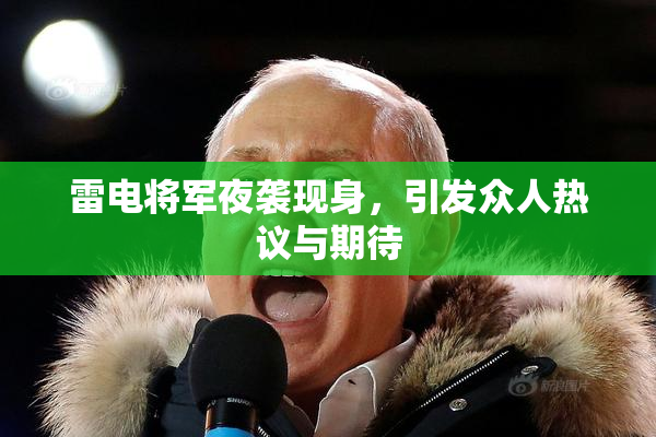 雷电将军夜袭现身，引发众人热议与期待