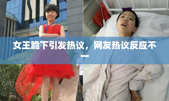 女王跪下引发热议，网友热议反应不一