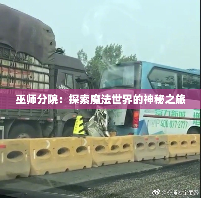 巫师分院：探索魔法世界的神秘之旅