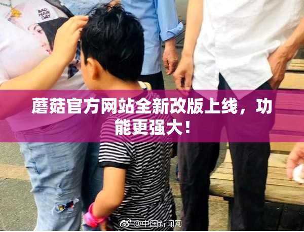蘑菇官方网站全新改版上线，功能更强大！