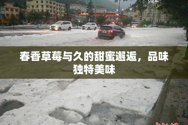 春香草莓与久的甜蜜邂逅，品味独特美味