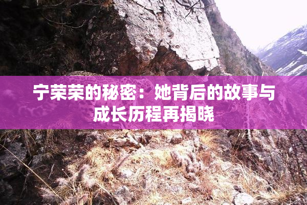 宁荣荣的秘密：她背后的故事与成长历程再揭晓