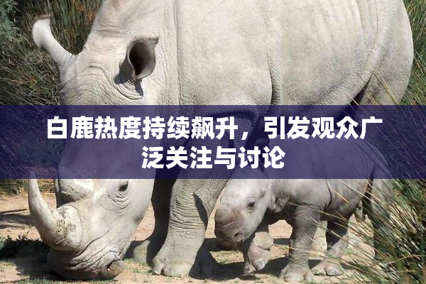 白鹿热度持续飙升，引发观众广泛关注与讨论