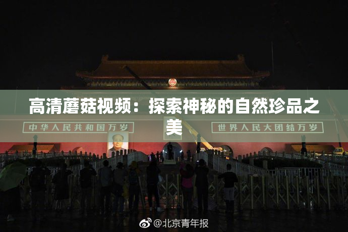 高清蘑菇视频：探索神秘的自然珍品之美