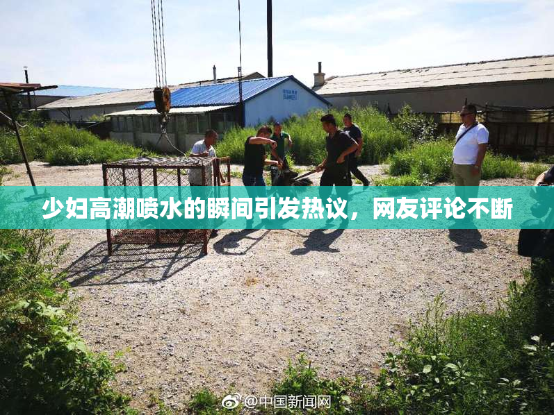 少妇高潮喷水的瞬间引发热议，网友评论不断