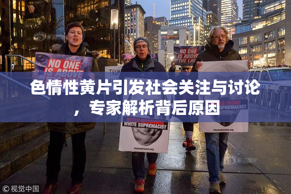 色情性黄片引发社会关注与讨论，专家解析背后原因