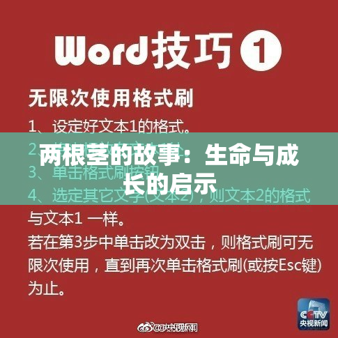 两根茎的故事：生命与成长的启示
