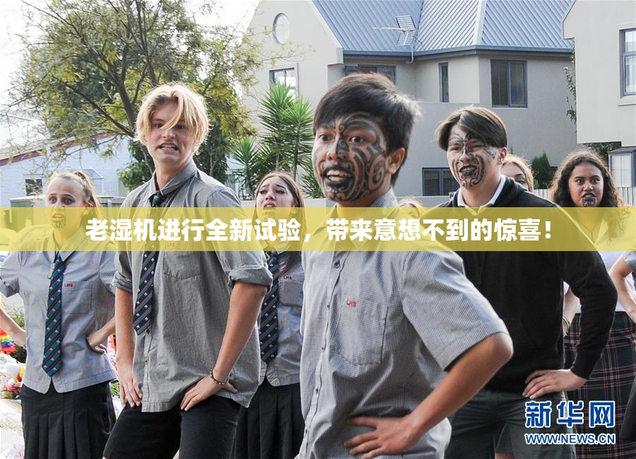 老湿机进行全新试验，带来意想不到的惊喜！
