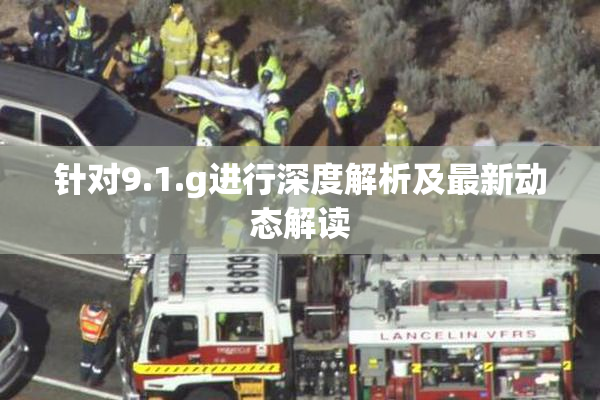 针对9.1.g进行深度解析及最新动态解读