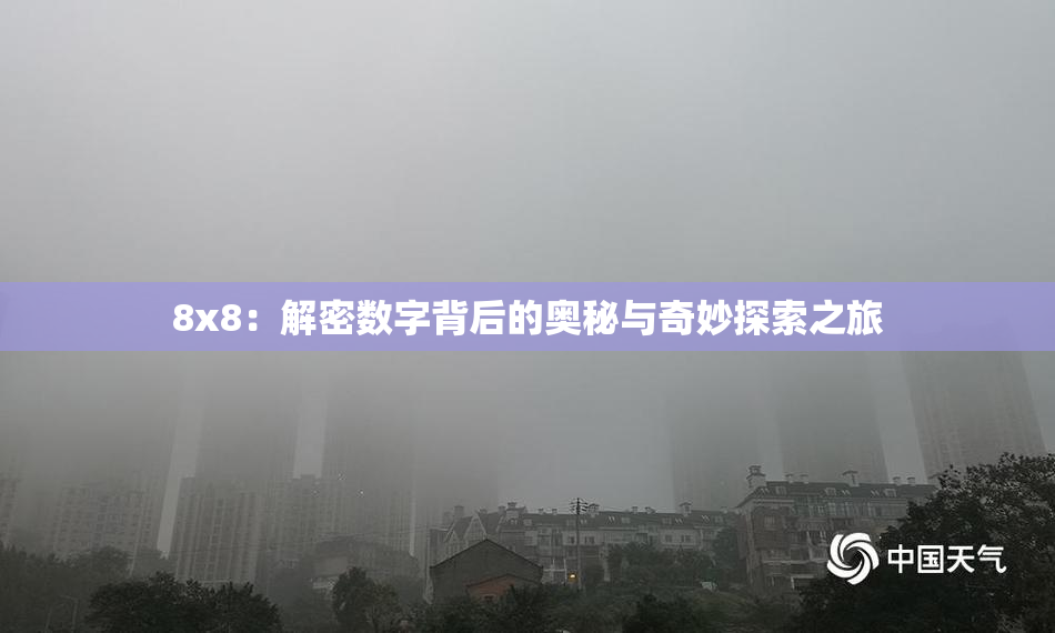 8x8：解密数字背后的奥秘与奇妙探索之旅