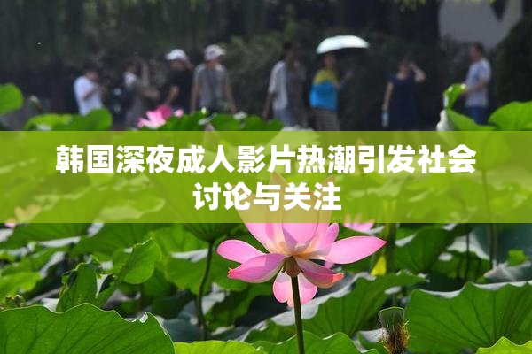韩国深夜成人影片热潮引发社会讨论与关注
