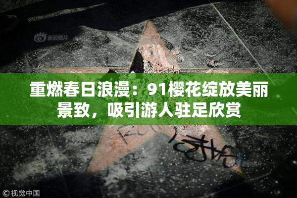 重燃春日浪漫：91樱花绽放美丽景致，吸引游人驻足欣赏