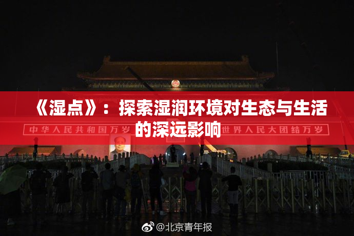 《湿点》：探索湿润环境对生态与生活的深远影响