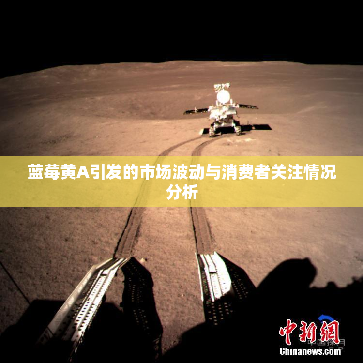 蓝莓黄A引发的市场波动与消费者关注情况分析