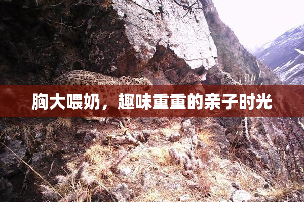 胸大喂奶，趣味重重的亲子时光