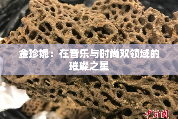 金珍妮：在音乐与时尚双领域的璀璨之星